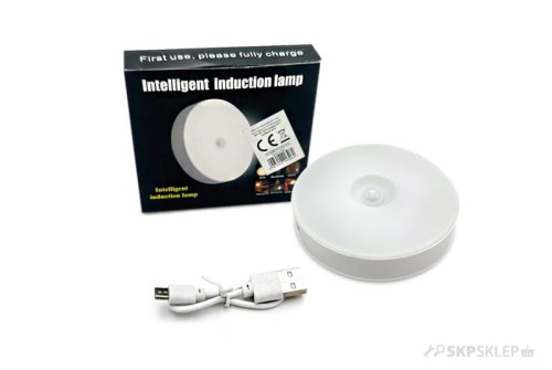 lampka_indukcyjna.jpg